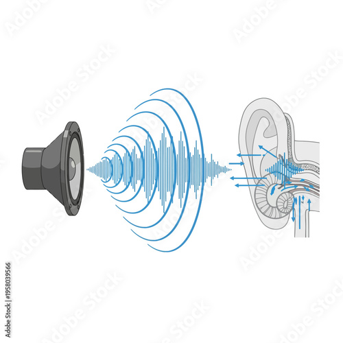 Diagram showing sound waves traveling from speaker to human ear