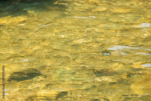 春の清流の水面をクローズアップ01