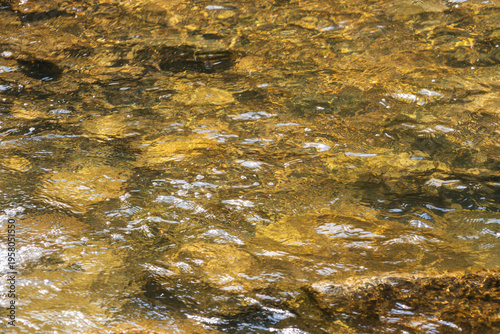 春の清流の水面をクローズアップ05