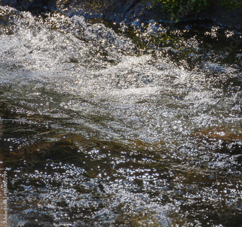 春の清流の水面をクローズアップ07