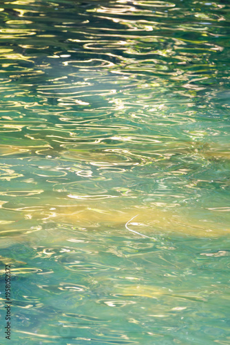 木陰の下を流れる清流のクローズアップ03