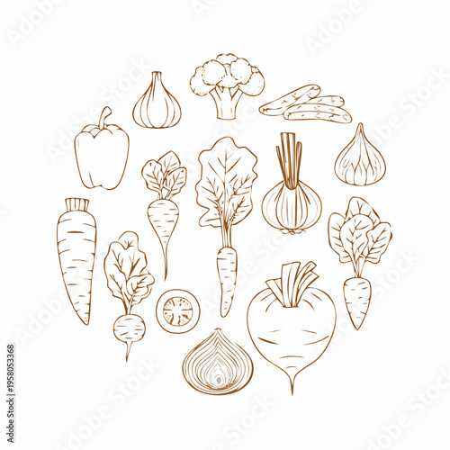 Root vegetable elements set outline sketch vector illustration