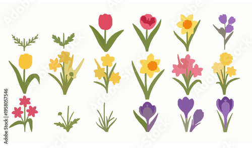 Colorful spring flower clipart set with daisy tulip jonquil daffodil chamomile crocus flat vector illustration