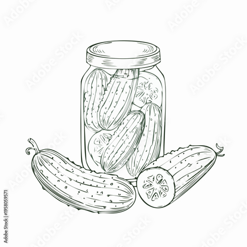 Pickled cucumber set outline sketch vector illustration