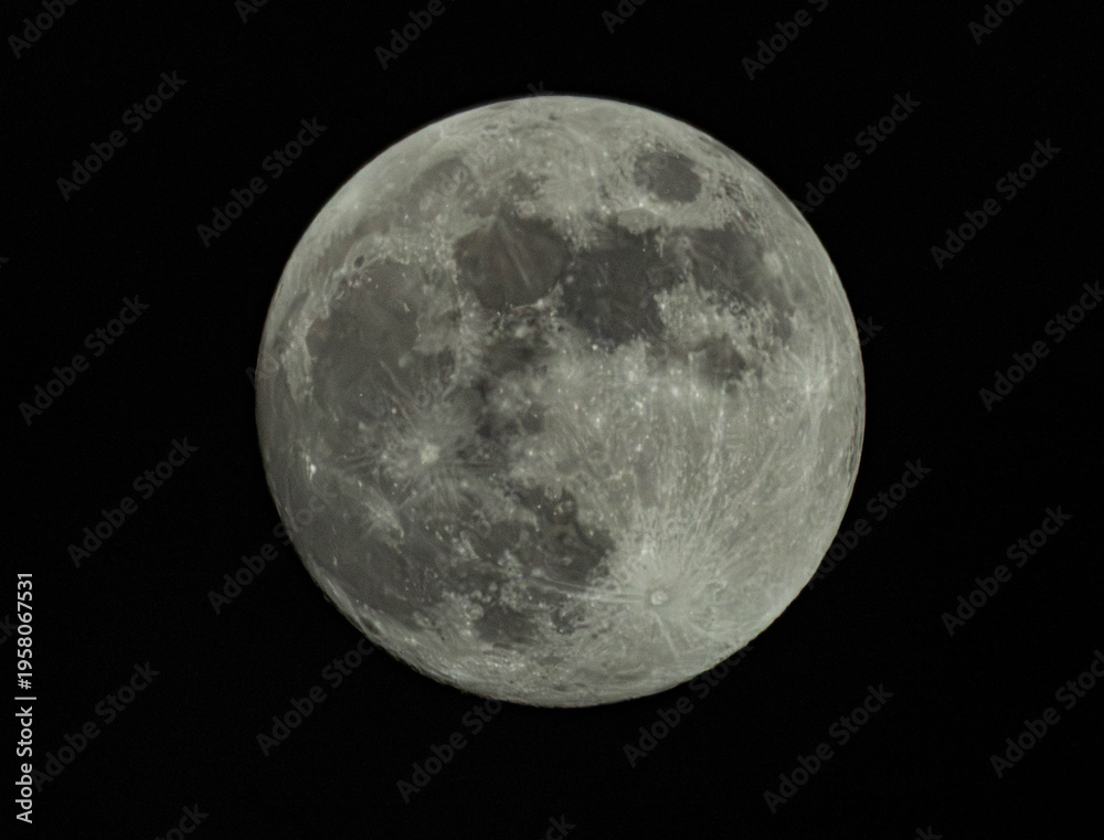 Fototapeta premium full moon in the night