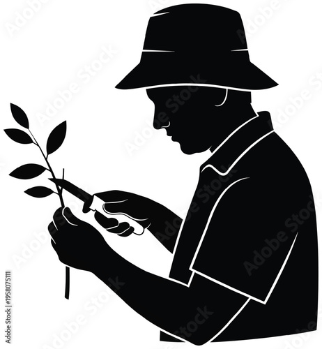 Gardener pruning plant with shears, silhouette wearing hat, caring for leaves outdoors.