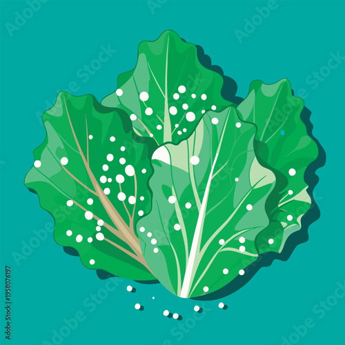 Fresh. vibrant green leafy vegetable cluster.