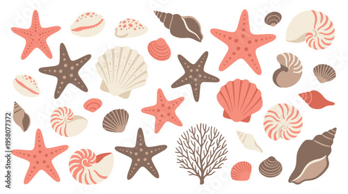 Collection of colorful seashells and starfish scattered on a white background, representing beach life and ocean treasures