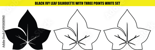 Black ivy leaf silhouette with white outlines