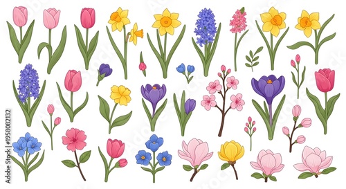 Colorful spring flowers in a scattered arrangement