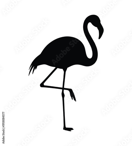 Black silhouette of a standing flamingo on white background vector illustration EPS PNG file