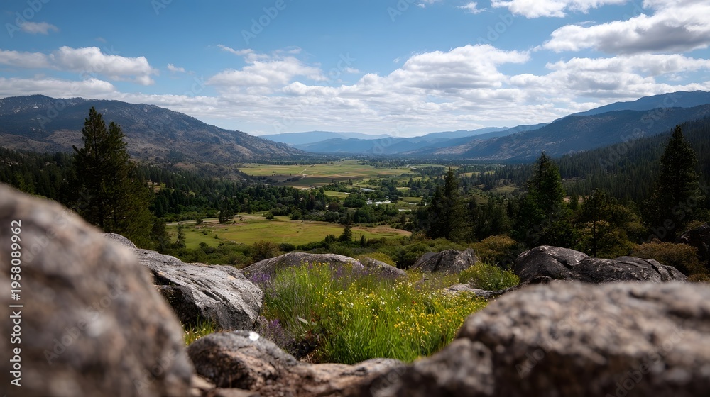 Fototapeta premium Expansive mountain valley vista viewed from rocky foreground with wildflowers under a bright cloudy sky