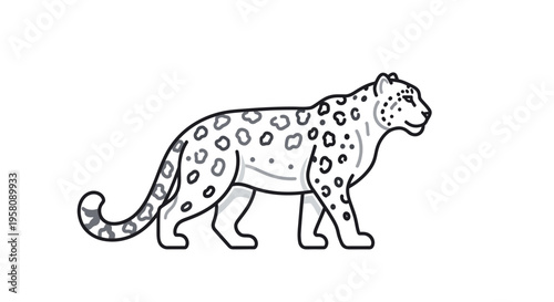 Leopard walking in profile view.