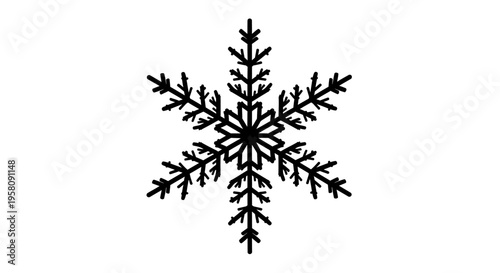 Detailed black snowflake on white background intricate crystal pattern winter symbol frosty design element
