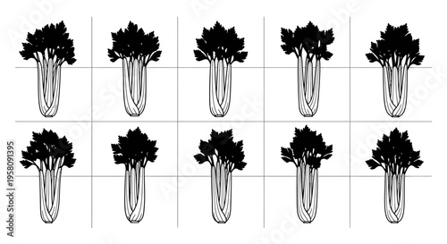 Set of black and white illustrations of leafy green vegetables possibly chard or beetroot arranged in rows on a grid background