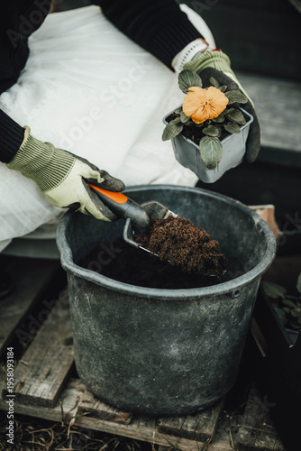 gardener planting flowers