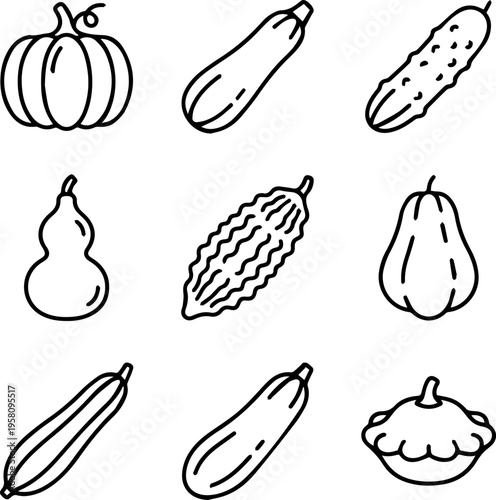 Set of line icons featuring gourd and squash vegetables including pumpkin zucchini and bitter melon for an autumn harvest festival decoration