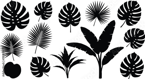 Tropical Leaf and Plant Silhouette Set Featuring Banana Tree Monstera And Palm, Exotic Jungle Botanical Collection, Flat Vector Illustration
