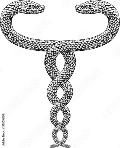 Two snakes intertwined serp...