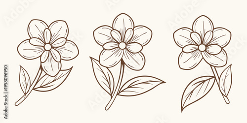 Delicate floral illustration featuring three sketched wildflower blooms