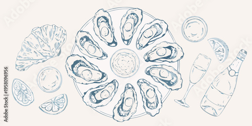 A delicate sketch of fresh oysters lemon wedges and a champagne bottle