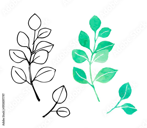 水彩ユーカリの枝葉セット｜ナチュラルボタニカル・グリーン植物素材