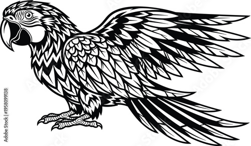 Stylized black and white macaw parrot vector illustration with detailed tribal feather patterns isolated on white background for tattoo design