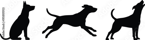 Silhouette vector illustration of dogs in different poses including sitting, running, and standing, representing pet animal icons for design