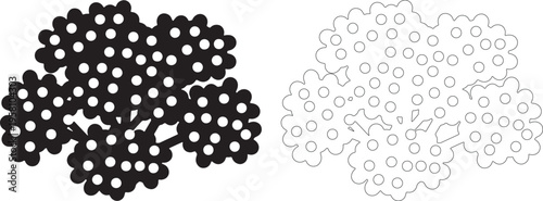 Black yarrow cluster silhouette with white circles on white