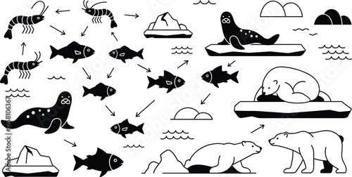 Arctic Wildlife Food Chain Collection Featuring Polar Bears, Seals, Fish, Shrimp, Ice Floes, and Ocean Elements in Black and White Illustration Style