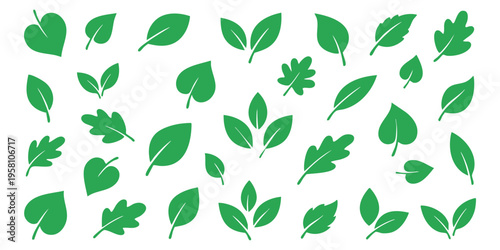 A set of green leaf. Leaves icon. Collection green leaf. Elements design for natural, bio, vegan labels. Vector illustration