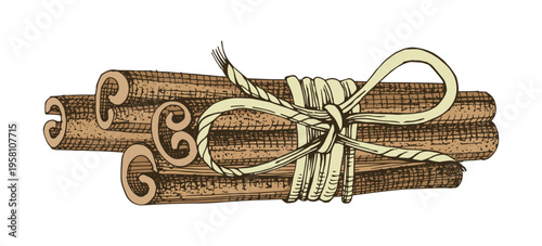 Cinnamon sticks in bunch vector illustration