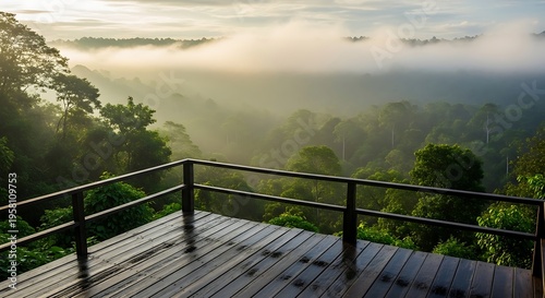 Misty rainforest canopy viewed from a wooden deck at sunrise, lush green jungle landscape with morning fog rolling over trees, serene natural environment
