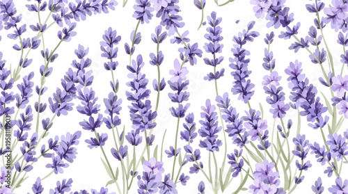 Romantic lavender blossoms spread across a pastel background perfect for wedding invitations and feminine designs