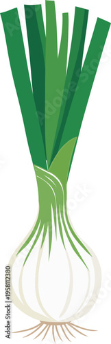 Fresh Leek Vegetable Flat Illustration