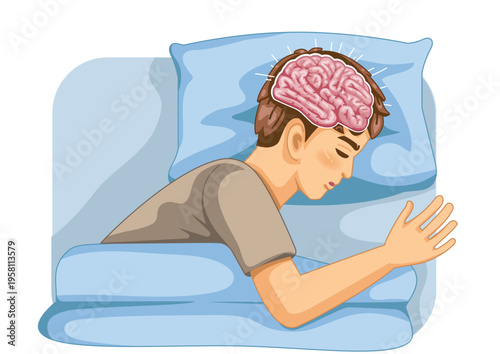 Brain Activity During Sleep Medical Illustration