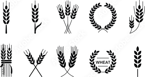 Wheat ear icon set, grain spike agriculture symbols, cereal crop silhouettes, harvest farming elements, organic food farm vector illustration