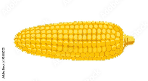 Yellow corn cob isolated on white background