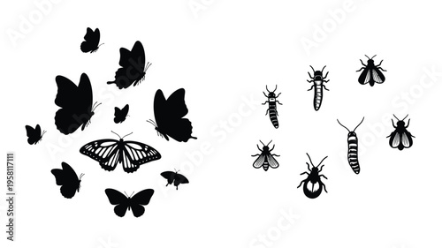 A collection of insect silhouettes against a white background silhouette