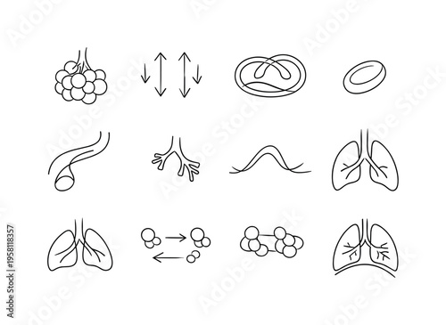 Gas Exchange Process. Minimalistic set one-line drawing alveoli sac cluster, oxygen entering arrows, carbon dioxide leaving arrows, capillary loop, red blood