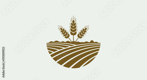 Wheat Ears Growing from Terraced Field in a Bowl Shape, in Bright Studio.