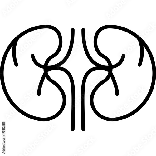 Kidneys Renal Organ Fill Icon: Human Excretory System
