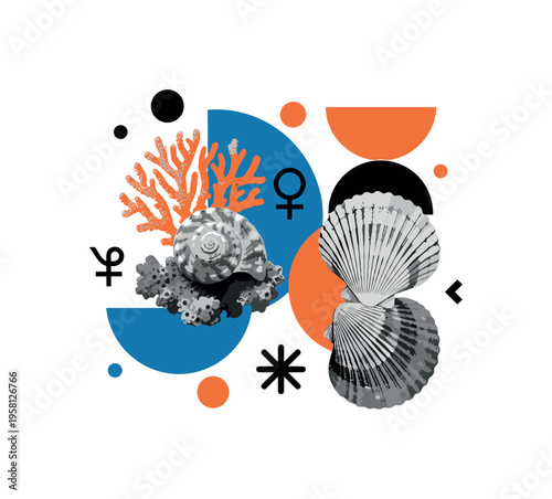 seashell and coral composition with geometric circles semicircles and symbolic shapes, black and white seashell combined with coral textures in layered collage