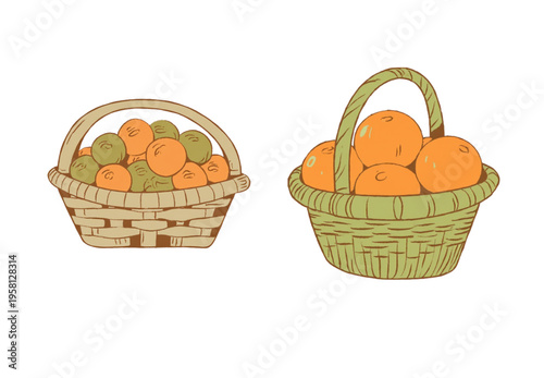 Hand Drawn Wicker Baskets with Fresh Oranges Illustration, Rustic Fruit Harvest Clipart
