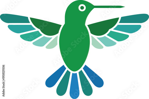 Hummingbird Flying Top View Detailed Wings Tail Vector Graphic Nature Wildlife