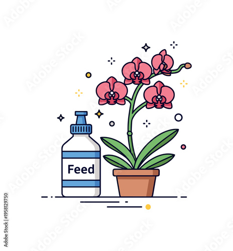 Orchid fertilizing schedule small fertilizer bottle labeled Feed placed next to a healthy blooming plant with tiny star accents signaling vitality. A friendly