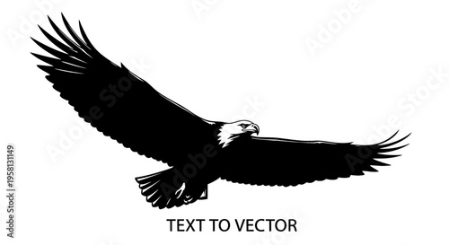 Bald eagle flying with outstretched wings in black and white