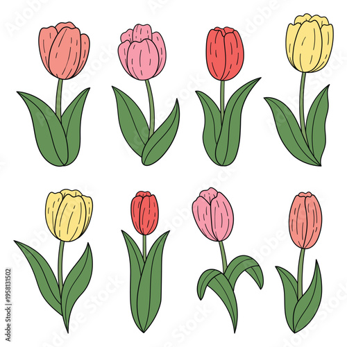 Hand-drawn cartoon set of tulip flowers on a white background.