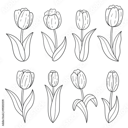 Hand-drawn doodle set of tulip flowers on a white background.