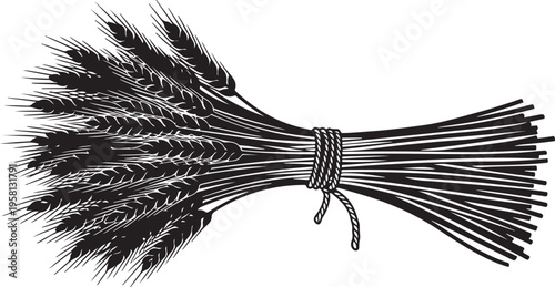 A bundle of wheat tied with a rope illustration